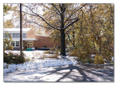 Snow Storm Damage 33.jpg