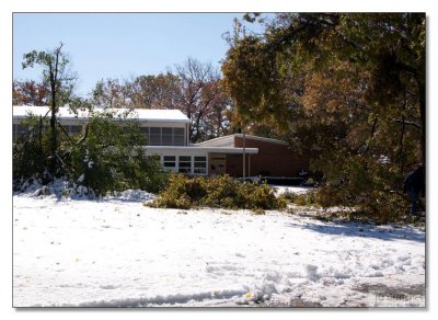 Snow Storm Damage 35.jpg