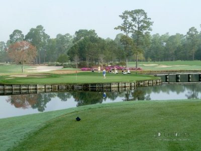 Myrtle Beach Day 2 02.jpg