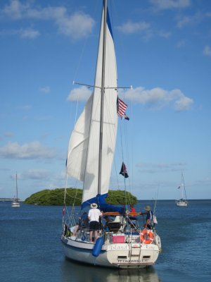 IMG_5520.JPG