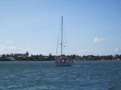 IMG_5529.JPG