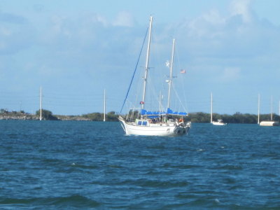 IMG_5531.JPG
