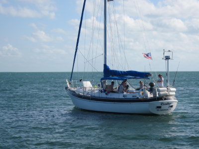 IMG_5541.JPG