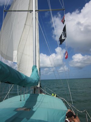 IMG_5559.JPG