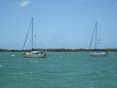IMG_5580.JPG