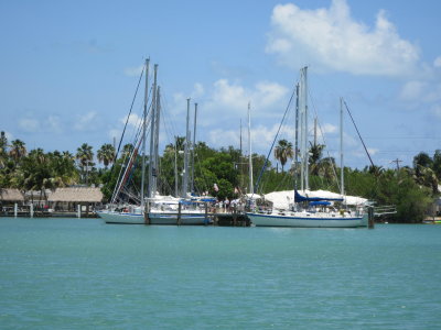 IMG_5647.JPG