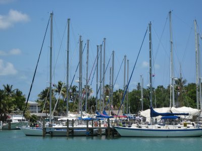 IMG_5649.JPG