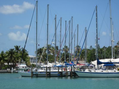 IMG_5650.JPG