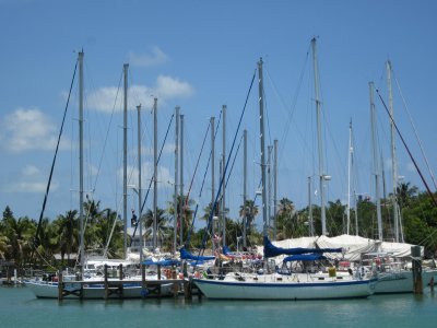 IMG_5651.JPG