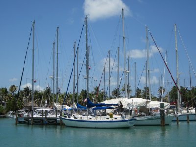 IMG_5653.JPG