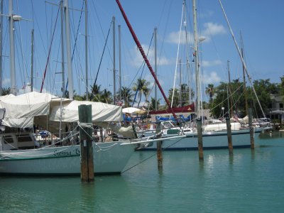 IMG_5654.JPG