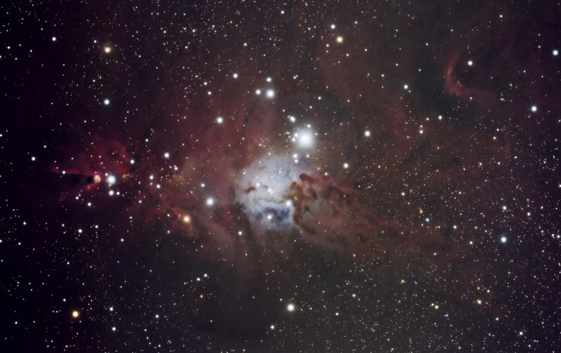 The Christmas Tree Cluster