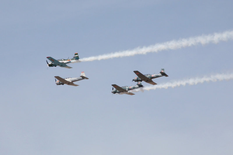 Deer Valley War Birds