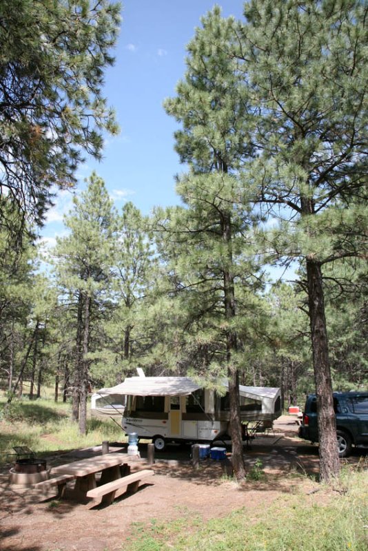 Site 26 at Potato Patch