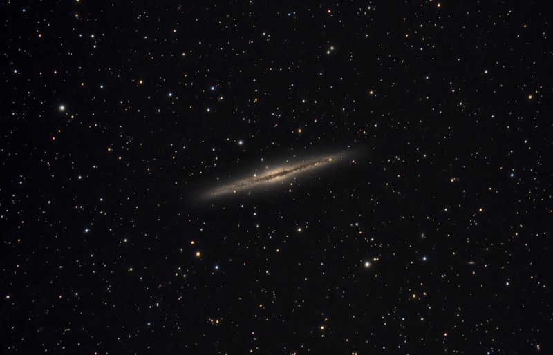 NGC 891
