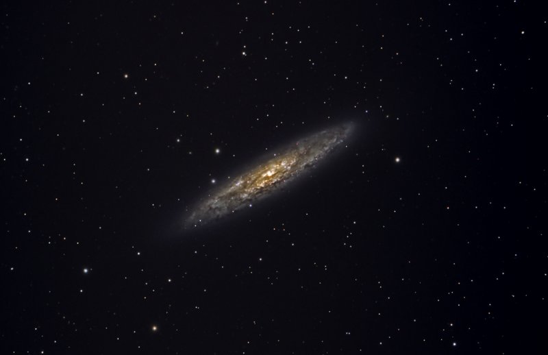 NGC 253 in Sculptor