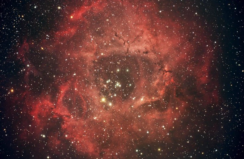 NGC 2237 - The Rosette Nebula