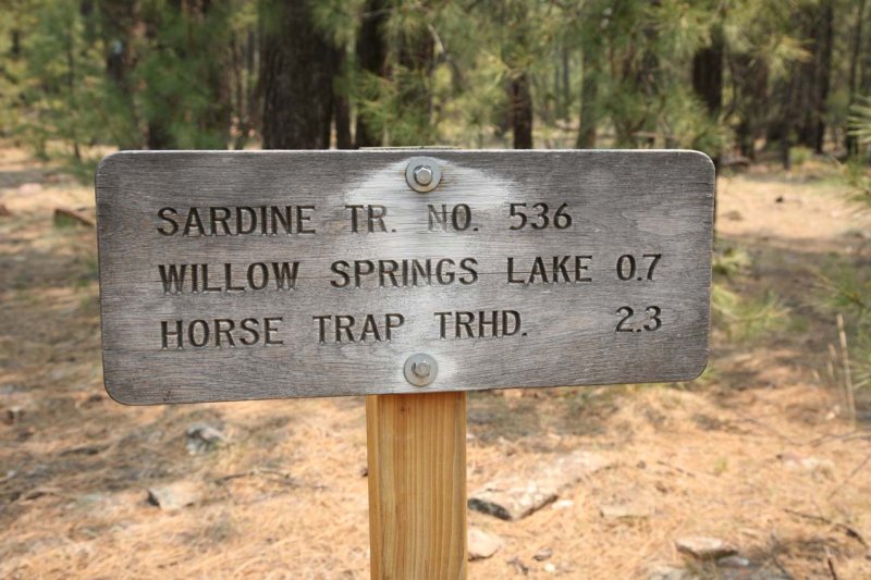 Hiking to Willow Springs Lake