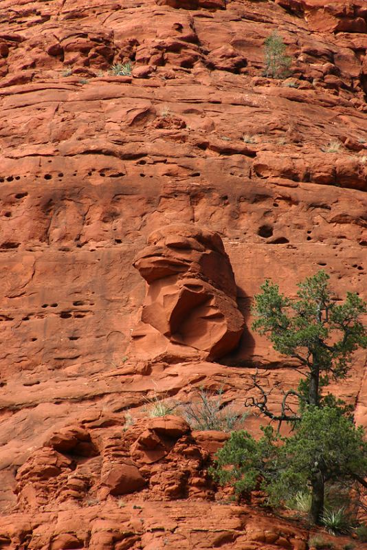 Sedona, Arizona
