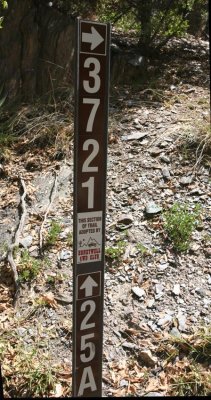 This Loop is Sponsored by the Honeywell 4WD Club