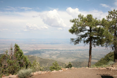 Campout at Mingus Mountain