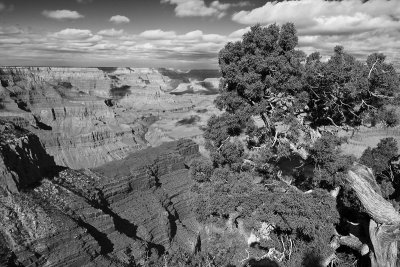 grand canyon bw XC7A4197.jpg