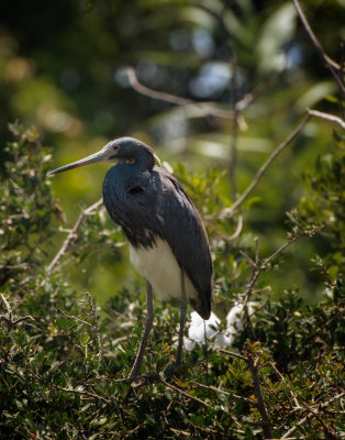 DSC_0100-Edit-Edit.jpg