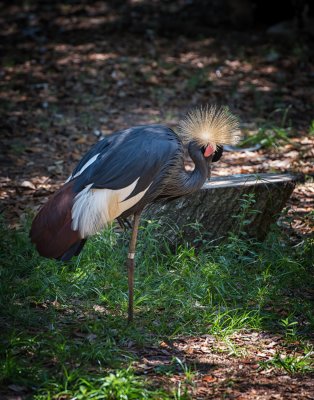 DSC_0138-Edit-Edit.jpg