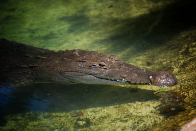 DSC_0146-Edit-Edit.jpg