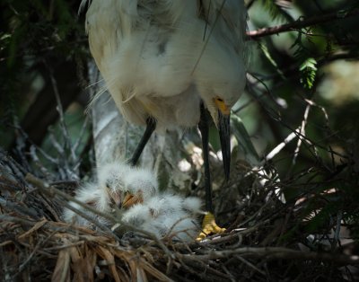 DSC_0161-Edit-Edit.jpg