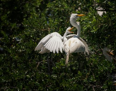 DSC_0179-Edit-Edit.jpg
