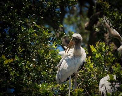 DSC_0181-Edit-Edit.jpg