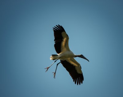 DSC_0195-Edit-Edit.jpg