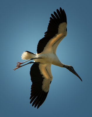 DSC_0196-Edit-Edit.jpg