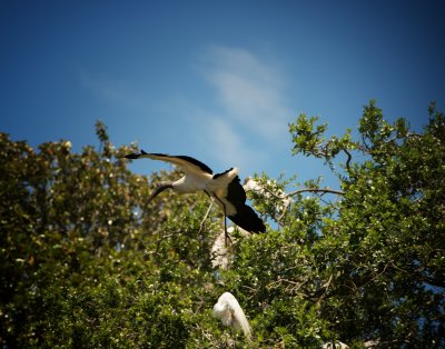 DSC_0202-Edit-Edit.jpg