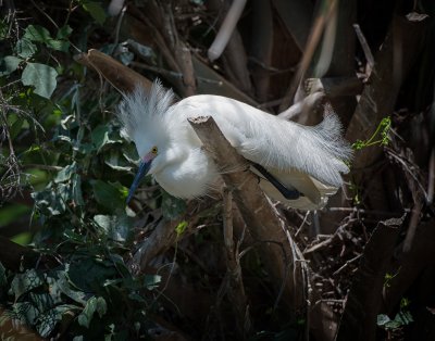 DSC_0242-Edit-Edit.jpg
