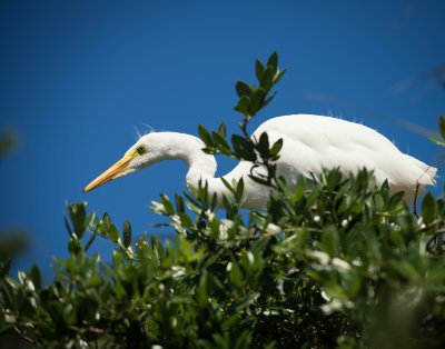 DSC_0259-Edit-Edit.jpg