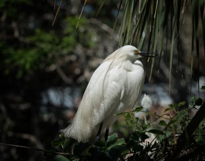 DSC_0262-Edit-Edit.jpg