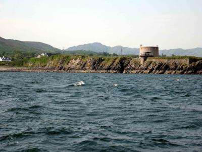 Macamish Martello Tower.jpg