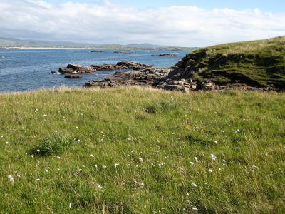 Inishfree