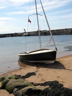Beached in Tory Harbour