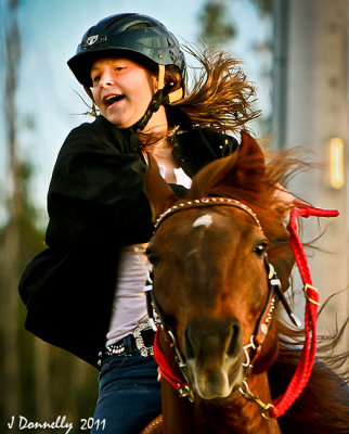 Horse & Rider