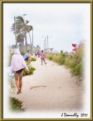 Windy Day at the Beach