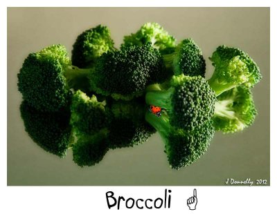 Bunch o' Broccoli