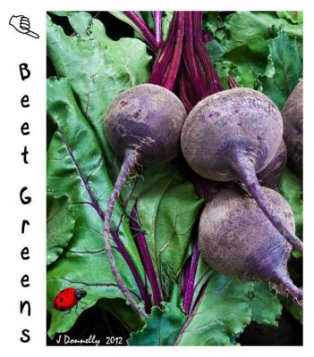 Beat the Beets