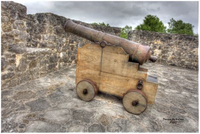 cannon 2