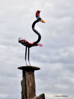 bird