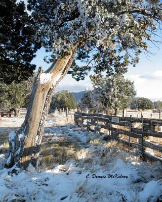 Snow - 2004- Davis Mountains