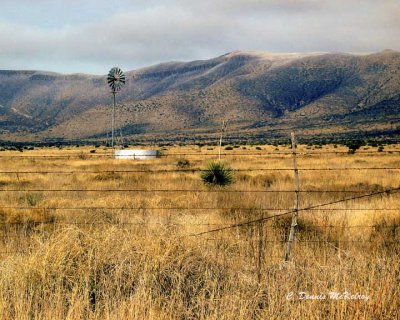 Snow - 2004- Davis Mountains