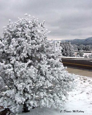 Snow - 2004- Davis Mountains